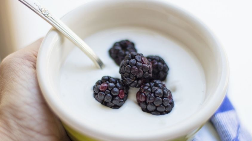 ilustrasi berry dengan yogurt (pixabay.com/TerriC)