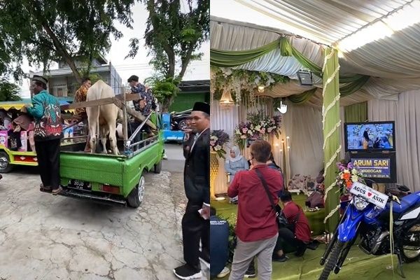 Viral Pengantin Pria Bawa Seserahan Mobil Pajero hingga Seekor Sapi (TikTok)