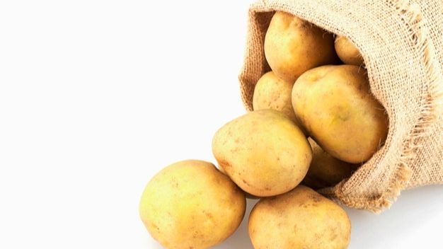 Panduan cara menanam kentang di rumah (Freepik)