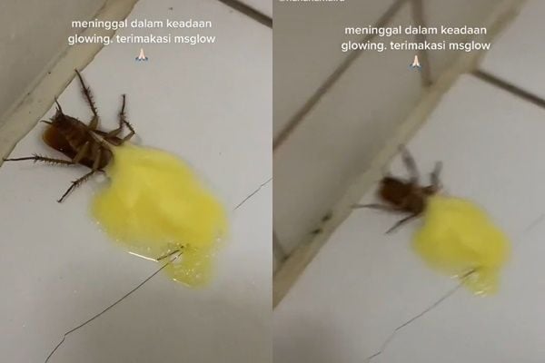 Viral Aksi Cewek Basmi Kecoa Pakai Skincare, Warganet: Duitku Menangis (TikTok)