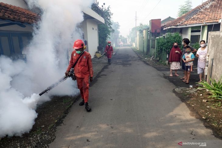 Petugas melakukan pengasapan di lingkungan warga untuk mengantisipasi wabah DBD. [ANTARA]