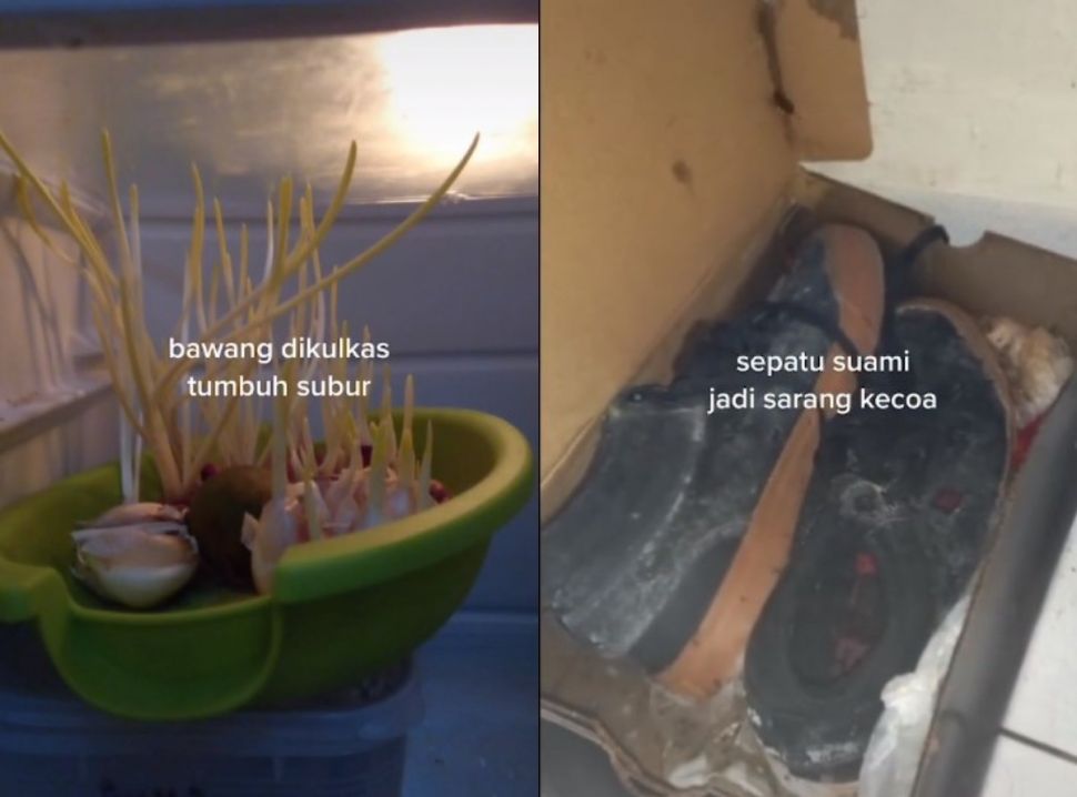 Rumah ditinggal dua bulan (tiktok.com/@uchauswa/)