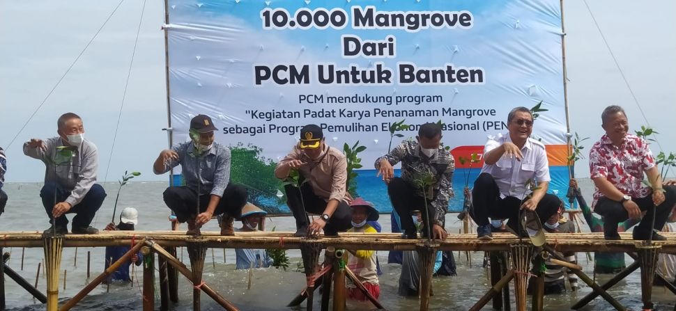 Penanaman Mangrove di Desa Lontar, Kecamatan Tirtayasa, Kabupaten Serang berdampak pada pemulihan ekonomi nasional warga sekitar. [IST]