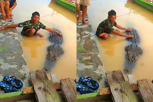 Viral Pak Ambo Nekat Peluk dan Sayang-sayang Buaya. (Instagram/@fakta.indo)