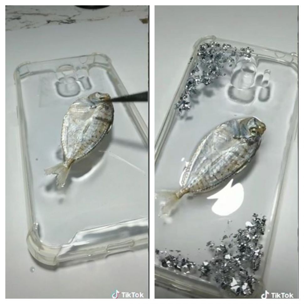 Case ponsel ikan asin (TikTok @za.crafts)