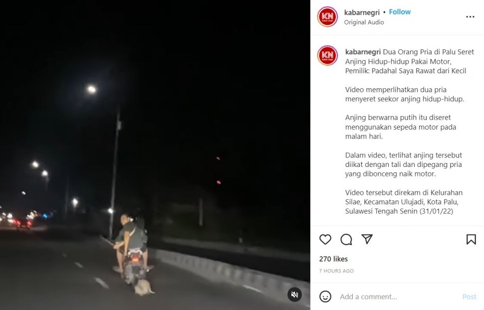 Viral Dua Pria di Palu Tega Seret Anjing Hidup-hidup Naik Motor (Instagram/@kabarnegri)