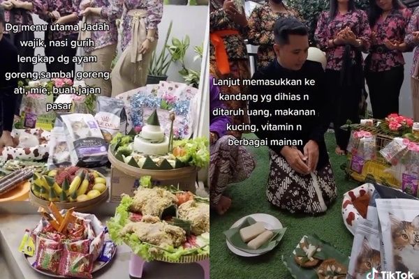 Viral Prosesi Tedak Siten Bayi Kucing Injak Tanah Pertama Kali (TikTok)