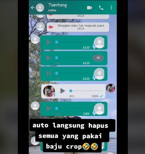 Tangkapan layar chat anak (tiktok.com/@lasmapanjaitan479)