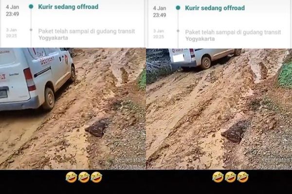 Viral Kurir Offroad Pakai Mobil Paket di Kebun Sawit. (TikTok)