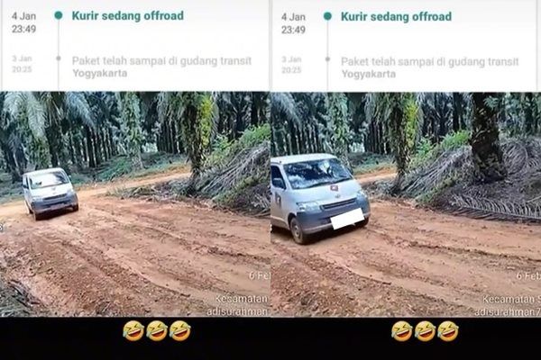 Viral Kurir Offroad Pakai Mobil Paket di Kebun Sawit. (TikTok)