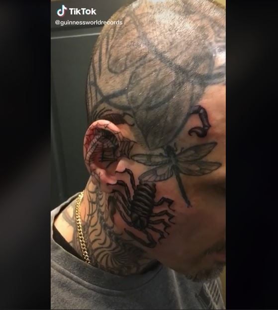 Pria Pemilik Tato Serangga Terbanyak di Dunia (tiktok.com/guinnessworldrecords)