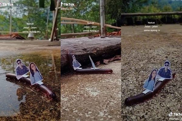 Viral Kaki Seribu Arak Foto Sejoli Bikin Ngakak sampai Bengek. (TikTok)