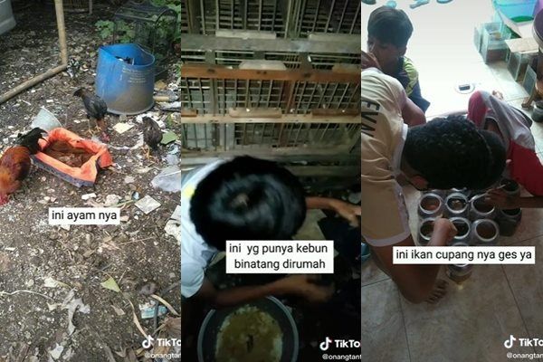 Viral Kakak Taubat Adik Sulap Rumah Jadi Kebun Binatang. (TikTok)