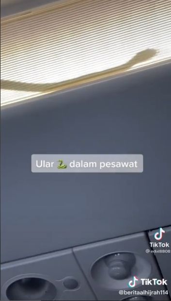 Viral Video Pilot AirAsia Terpaksa Putar Balik, Warganet Tak Sengaja Rekam Ada yang Melata di Lampu Pesawat. (TikTok/edal8808/beritaalhijrah)