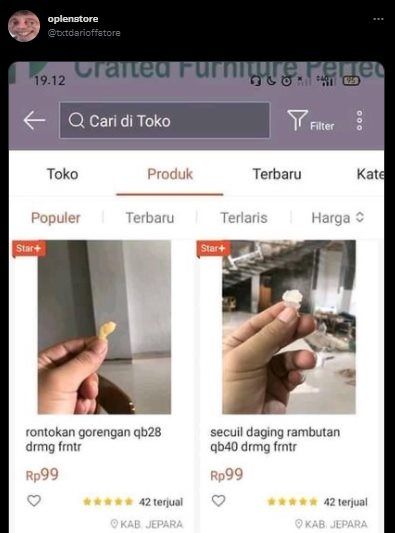 Viral Olshop Jual Rontokan Gorengan sampai Secuil Daging Rambutan. (Twitter/@txtdarioffstore)