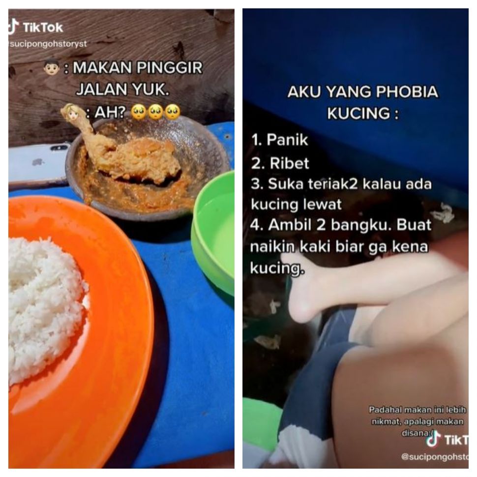 Phobia kucing (TikTok @sucipongohstoryst)