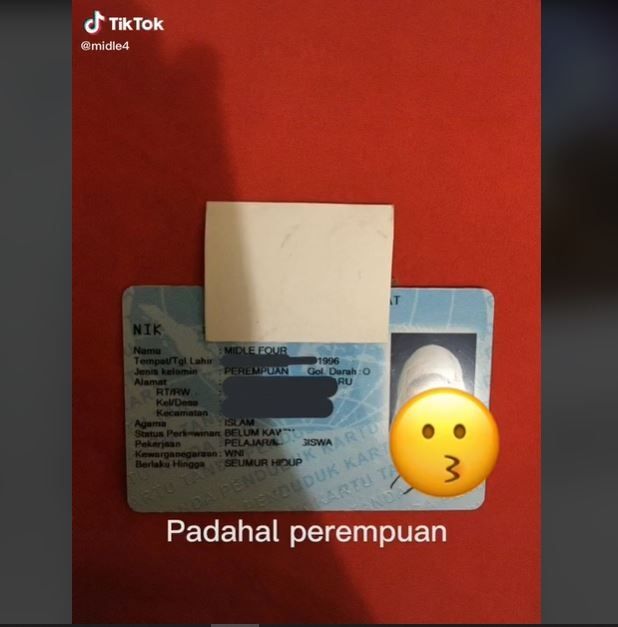 Viral Wanita Punya Nama Unik Seperti Bule (tiktok.com/midle4)