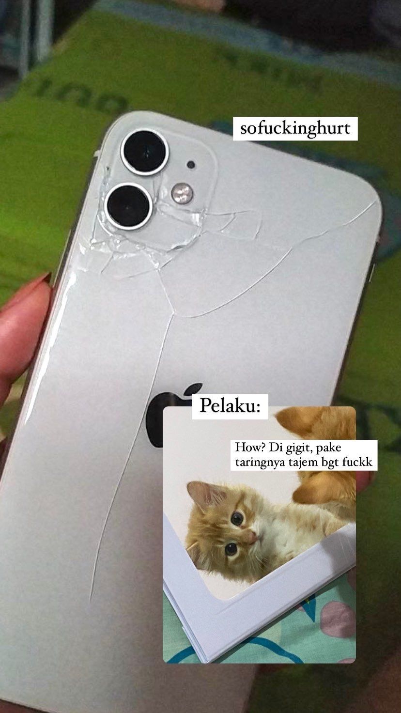 Majikan Sakit Hati Anak Kucing Gigit iPhone Sampai Begini. (Twitter/@kochengfess)