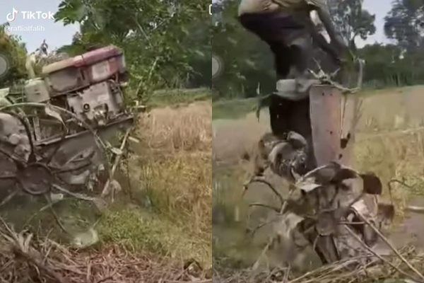 Viral Petani Bajak Sawah Berakhir 'Terbang'. (TikTok)