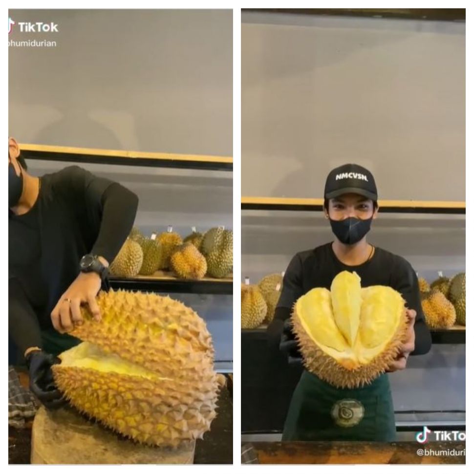 Durian Jumbo (TikTok @bhumidurian)