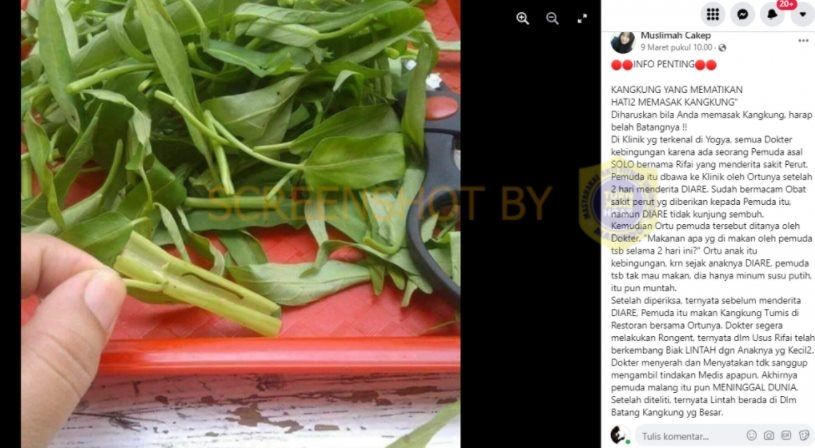 CEK FAKTA Viral Pemuda Solo Diare Sampai Meninggal Akibat Makan Tumis Kangkung Isi Lintah. (Turnbackhoax.id)