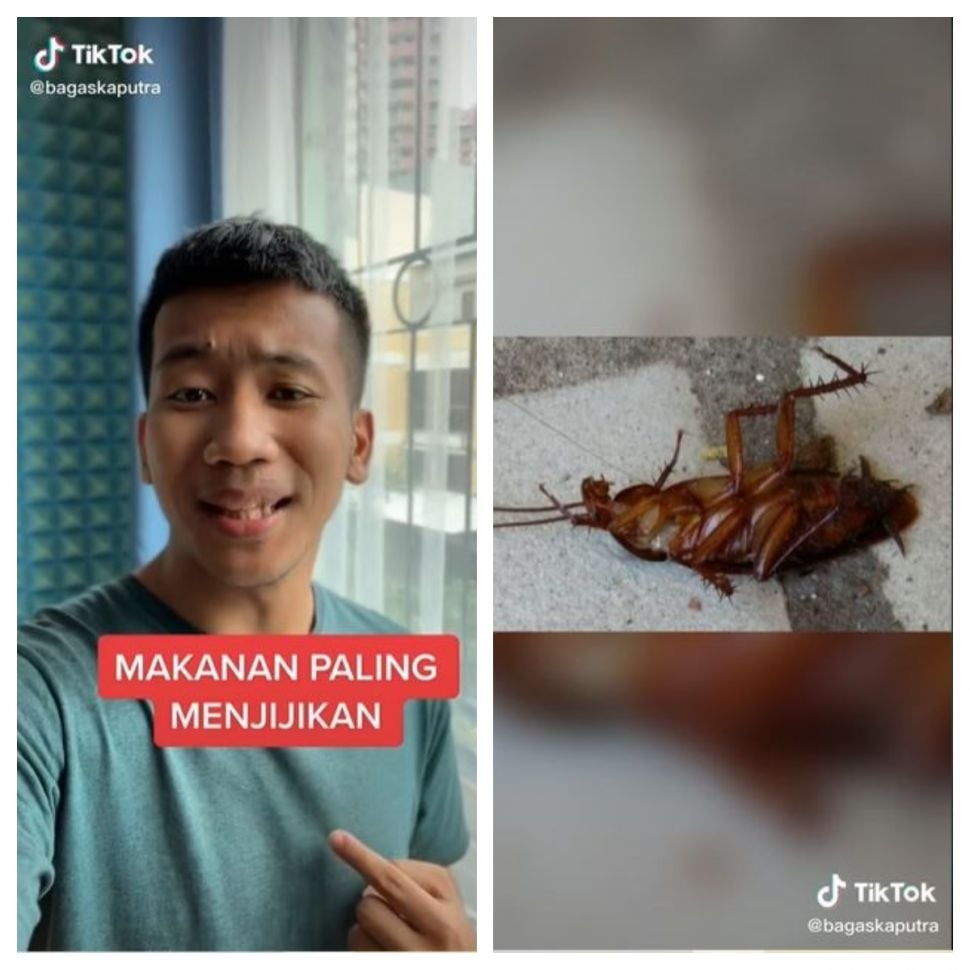 Makan kecoa di capcay (TikTok @salahgaulnihgue)