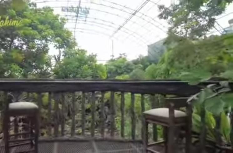 Potret Aviary Irfan Hakim (YouTube/DeHakims Aviary)