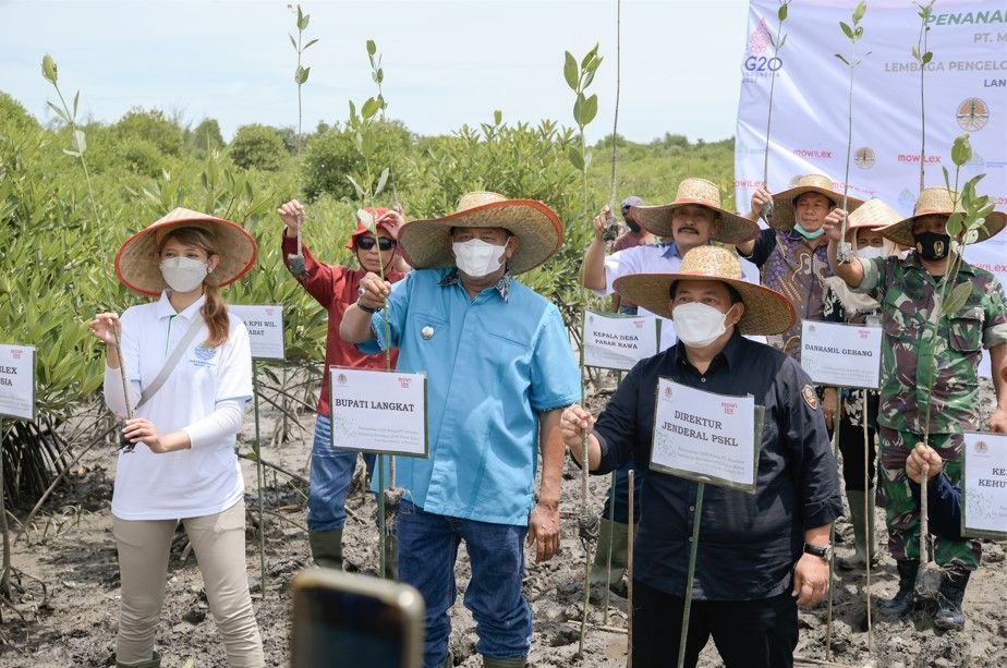Tanam Mangrove. (Dok: Istimewa)