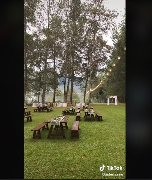 Viral Pernikahan Tanpa Jasa Wedding Organizer, Bikin Kagum (tiktok.com/asteria.nne)