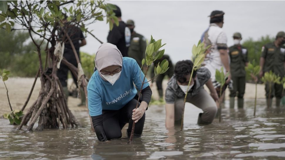 Penanaman bakau. (Dok: Istimewa)