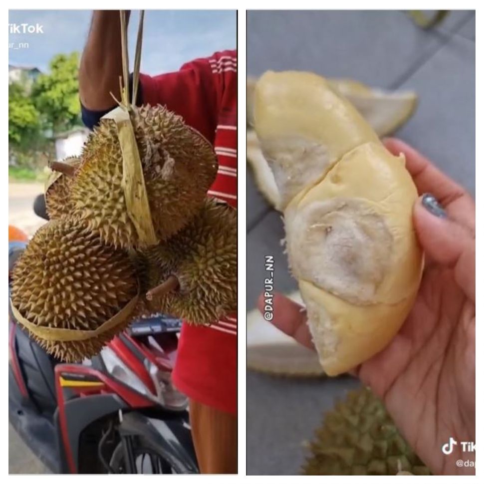 Harga durian di Fakfak Papua Barat (TikTok @dapur_nn)