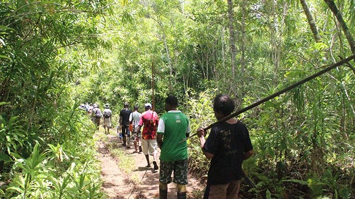 Kami saat berjalan menuju hutan adat Abrauw, Distrik Biak Utara, Kabupaten Biak Numfor, Papua, Rabu (2/3/2022). [Jubi/Theo Kelen]