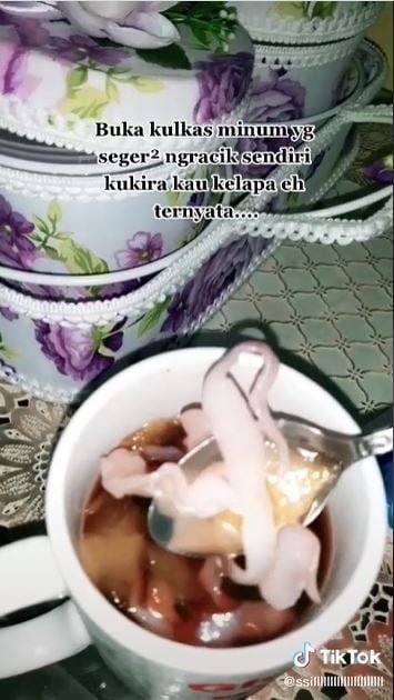 Kwetiaw di minuman buka puasa (TikTok @ssilllllllllllllllllllll)