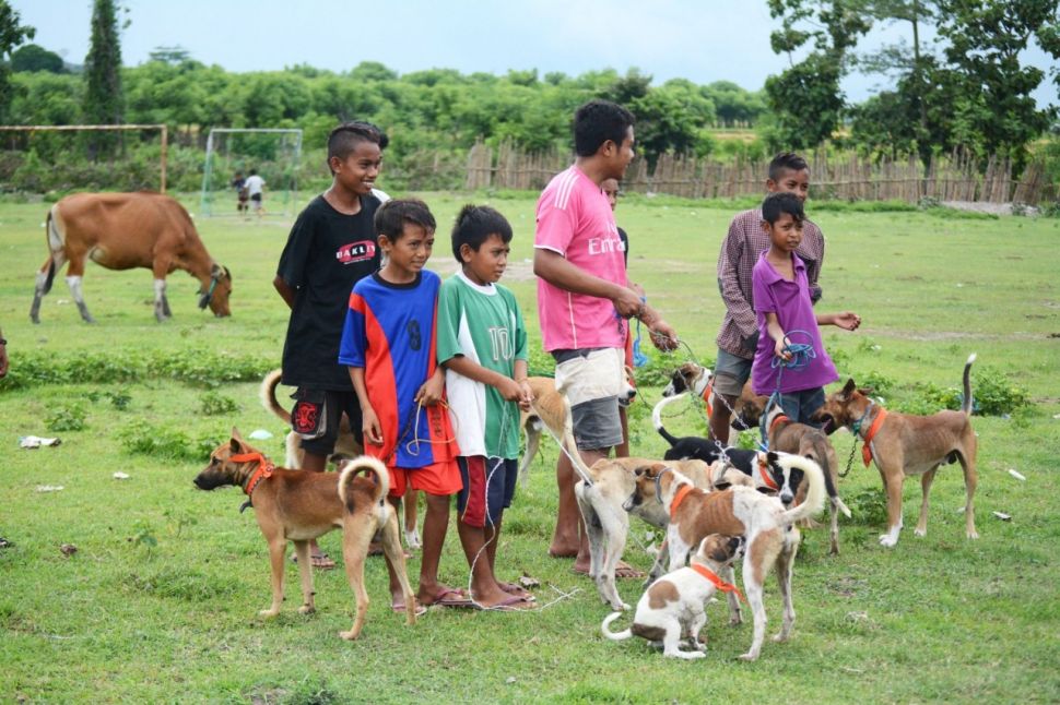 Penanganan Rabies Lewat Vaksinasi Massal. (Dok. FAO)