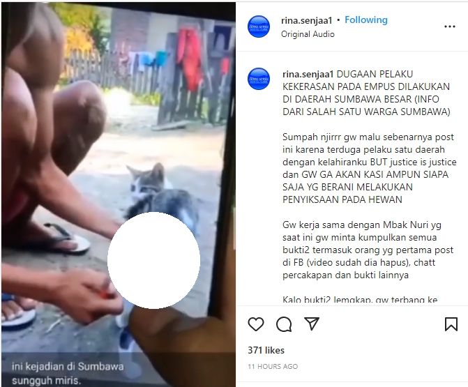 Keji! Pria Nyalakan Petasan yang Dimasukkan Dalam Anus Seekor Kucing, Publik Kecaman Keras. (Instagram/rina.senjaa1)