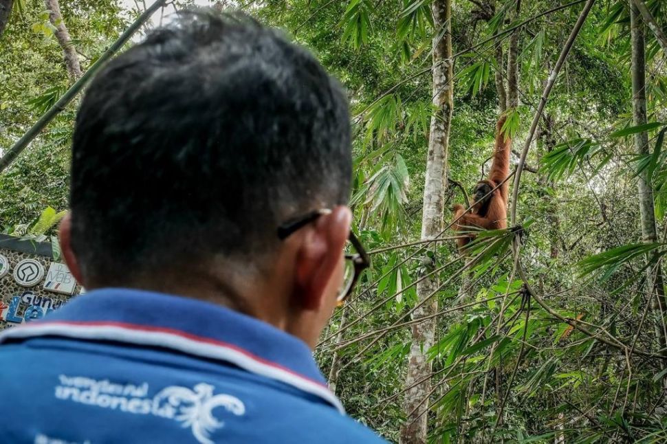 Cerita Menparaekraf Sandiaga Uno 'Bercengkrama' dengan Orang Utan di Bukit Lawang Langkat Sumut. (Dok: Kemenparekraf)