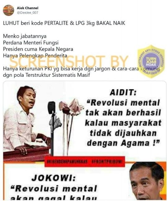 CEK FAKTA: Pernyataan Jokowi (Turnbackhoax)