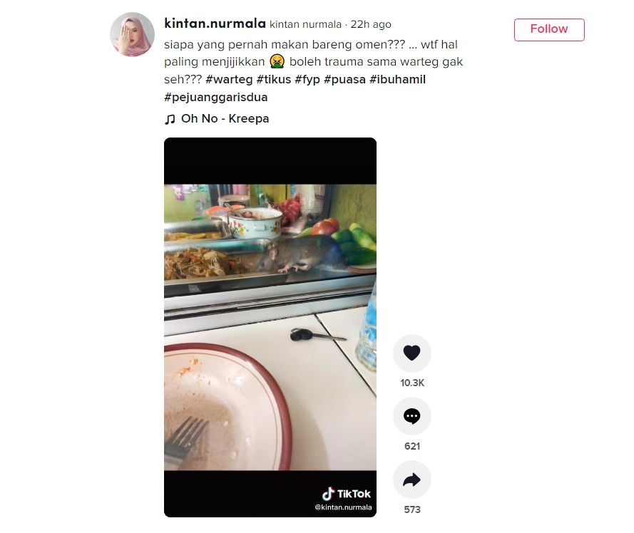 Viral makan bertemu tikus di warteg. (Dok. TikTok)