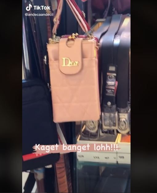 Viral Tas Dior Versi KW (tiktok.com/andecaandecii)