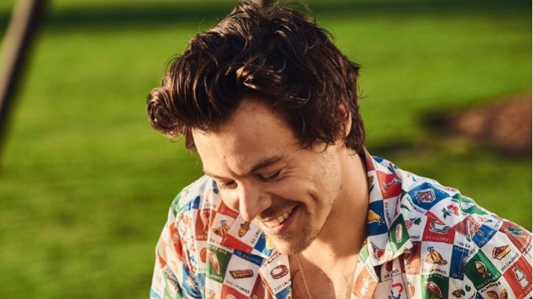 Potret Harry Styles [hshq/Instagram.com]