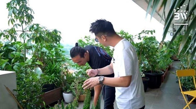 Potret Kebun Sayur (YouTube/Boy William)