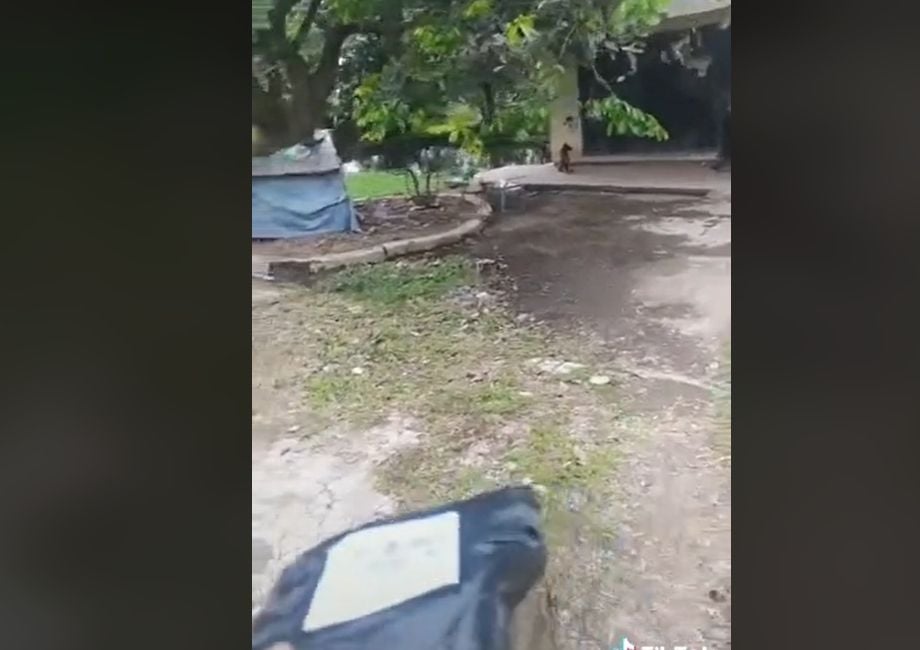 Kurir paket adalah pekerjaan yang terbilang menantang pada era kekinian. Sebab, orang yang melakoninya seringkali mendapat rintangan lucu, sedih, senang, bahkan berbahaya seperti dikejar anjing. [TikTok]