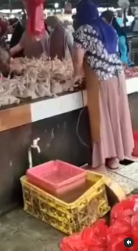 Video viral di media-media sosial, yang merekam seorang ibu pedagang memompa daging ayam utuh agar menggelembung montok sehingga harga jualnya naik. [Instagram]