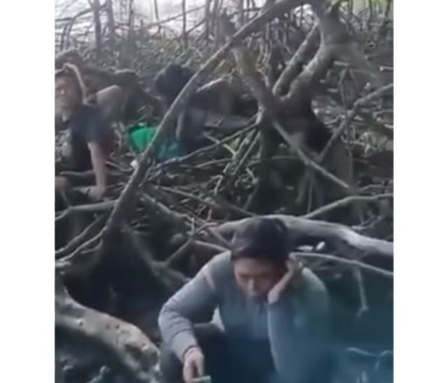 Dua potongan video berisi rekaman sekelompok orang diduga tenaga kerja Indonesia ditelantarkan agen penyalur TKI ilegal di Pulau Geronggang, Rantau Prapat, Sumatera Utara. [Instagram]