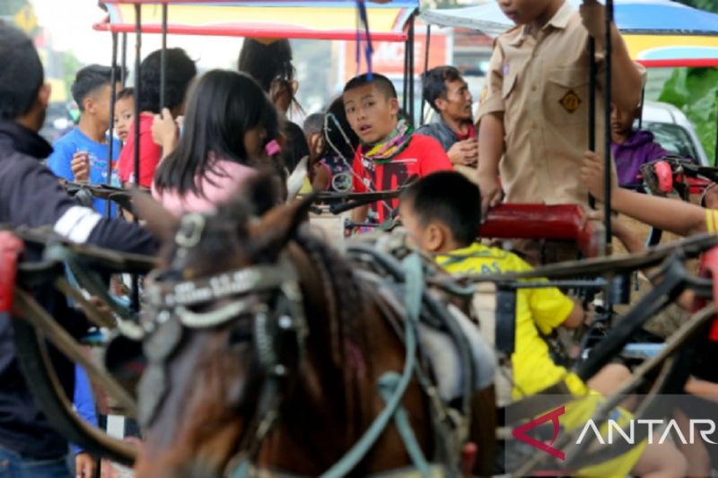 Lebaran ketupat di Madura sangat meriah dengan adanya Tradisi Arung Laut dan 'Per-peran'. (Antara)