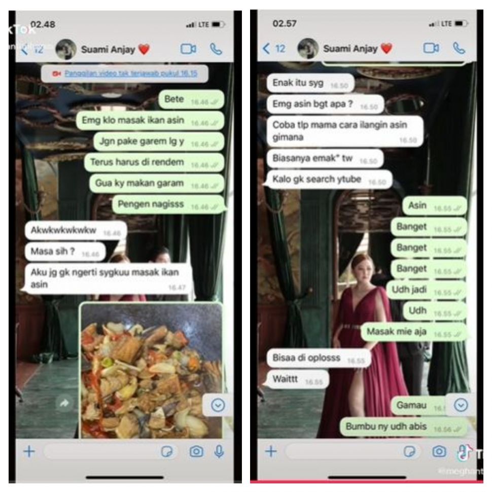 Suami minta dibuatkan tumis ikan asin (TikTokn @meghantophorus)