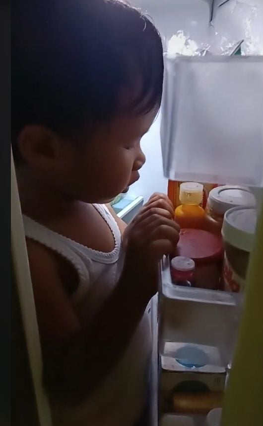 Tingkah laku anak kecil, selalu membuat orang dewasa merasa gemas, tak terkecuali kalau lagi marah. Itu seperti bocah ini, yang ketika marah kepada ibunya, dia memutuskan untuk masuk ke dalam kulkas. [TikTok]