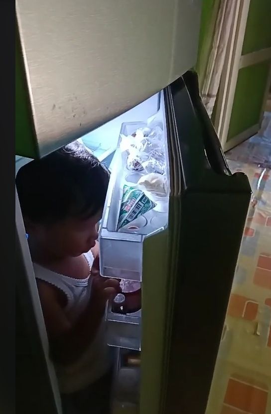 Tingkah laku anak kecil, selalu membuat orang dewasa merasa gemas, tak terkecuali kalau lagi marah. Itu seperti bocah ini, yang ketika marah kepada ibunya, dia memutuskan untuk masuk ke dalam kulkas. [TikTok]