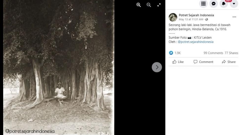 Foto jadul pria di depan pohon beringin tahun 1916. (KTLV Leiden via Facebook Potret Sejarah Indonesia)
