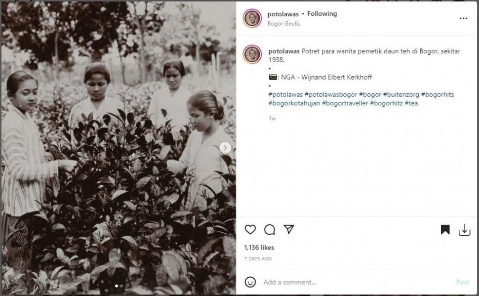 Foto gadis pemetik daun teh tahun 1938. (Instagram/ potolawas)